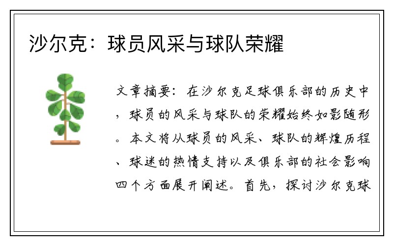 沙尔克：球员风采与球队荣耀