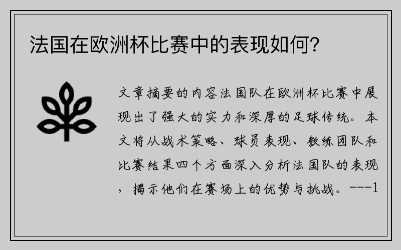 法国在欧洲杯比赛中的表现如何？
