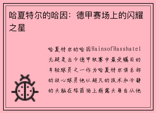 哈夏特尔的哈因：德甲赛场上的闪耀之星