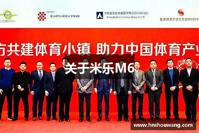 关于米乐M6